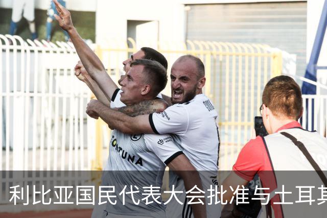 利比亚国民代表大会批准与土耳其海域划界协议，欧盟和希腊表达反对